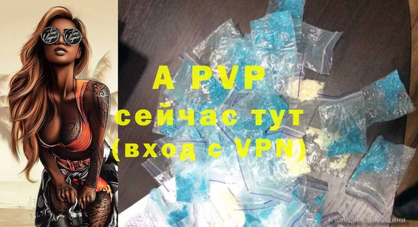 apvp Белокуриха