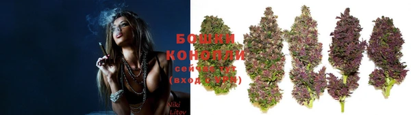 apvp Белокуриха
