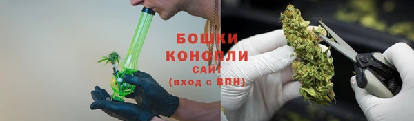 apvp Белокуриха