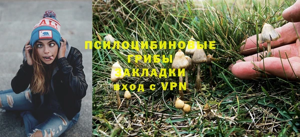 бошки Белоозёрский