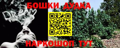 шишки Апшеронск