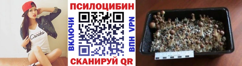 Псилоцибиновые грибы Psilocybe  Бузулук 
