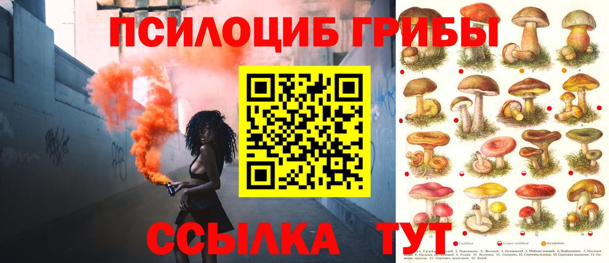 Псилоцибиновые грибы мухоморы  Галлюциногенные грибы мицелий  Вход с VPN  наркота  Бузулук 