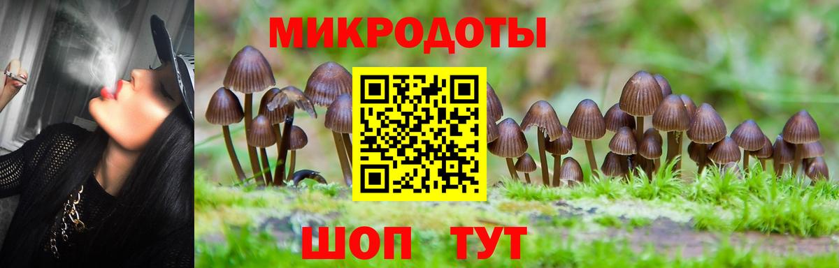 Галлюциногенные грибы Psilocybine cubensis Бузулук